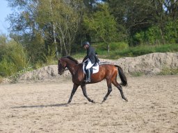 2011 Sommerturnering